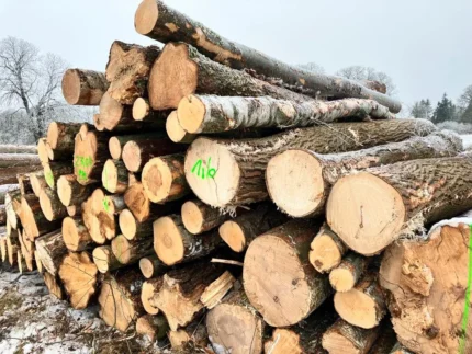 PEFC-zertifiziertes Kiefernholz pro LKW-Ladung – 60 m³