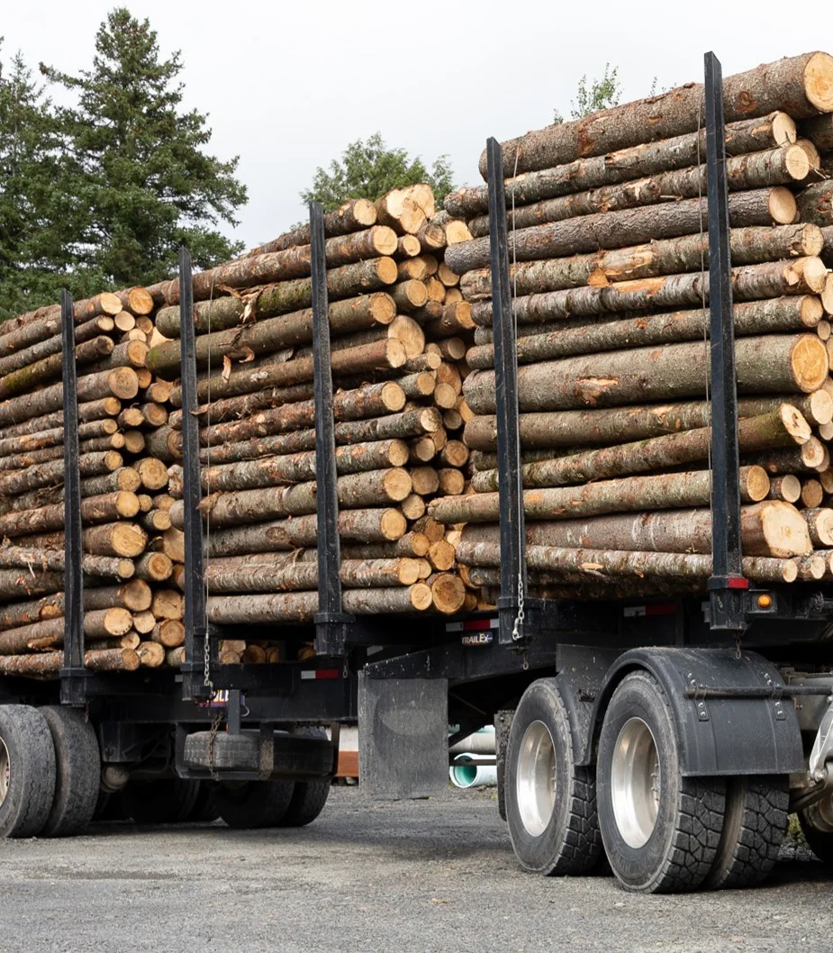 grume-camion-de-25-steres-1